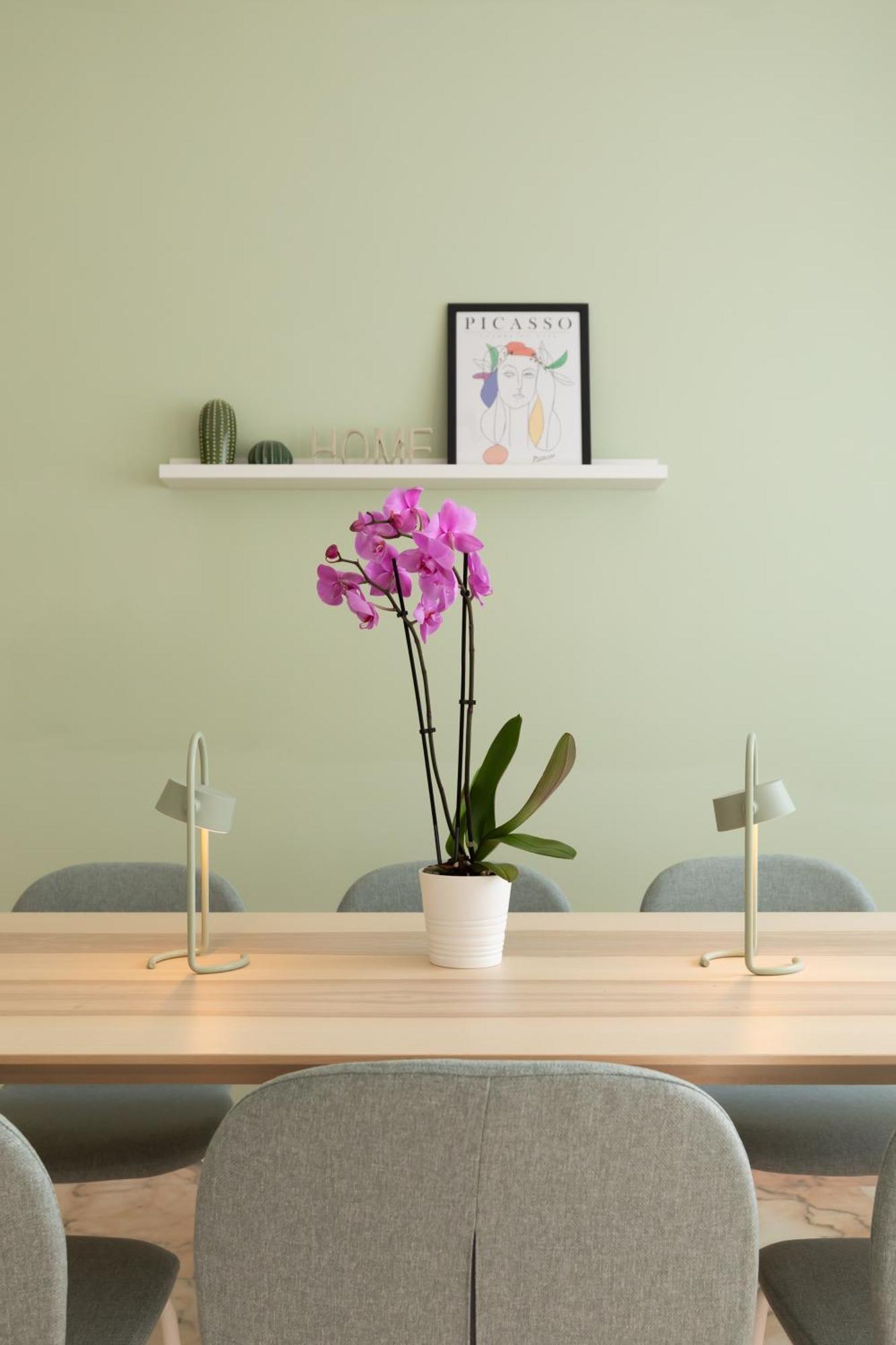 Domiziano Boutique Apartment Rome Extérieur photo